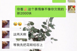 姜堰贷款清欠服务